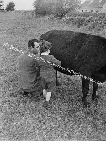 FATHER AND SON MILKING COW